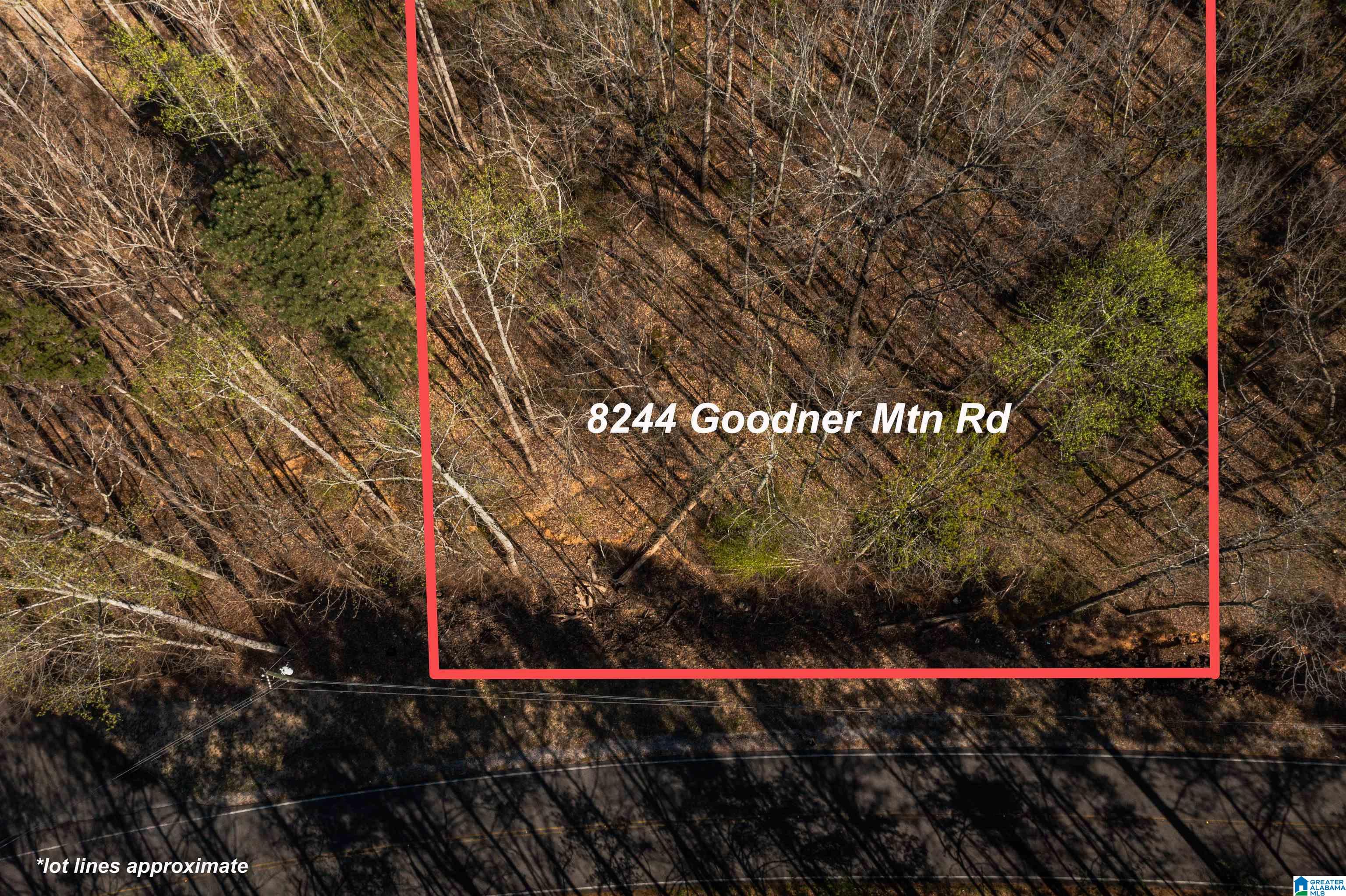 8244 Goodner Mountain Road, Unit 8244 Trussville, AL 35173 - Photo 6 of 6