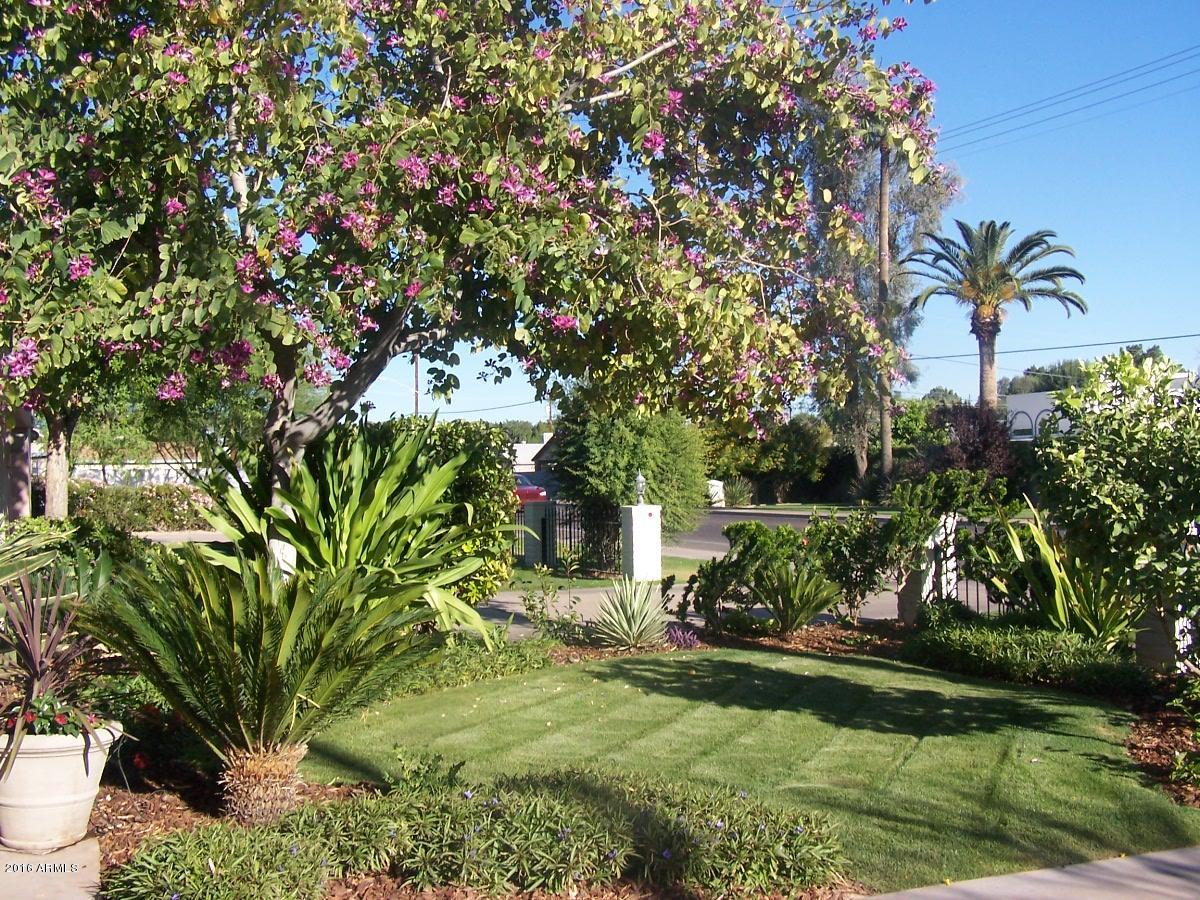 2606 East Osborn Road Phoenix, AZ 85016 - Photo 35 of 39 000_0180