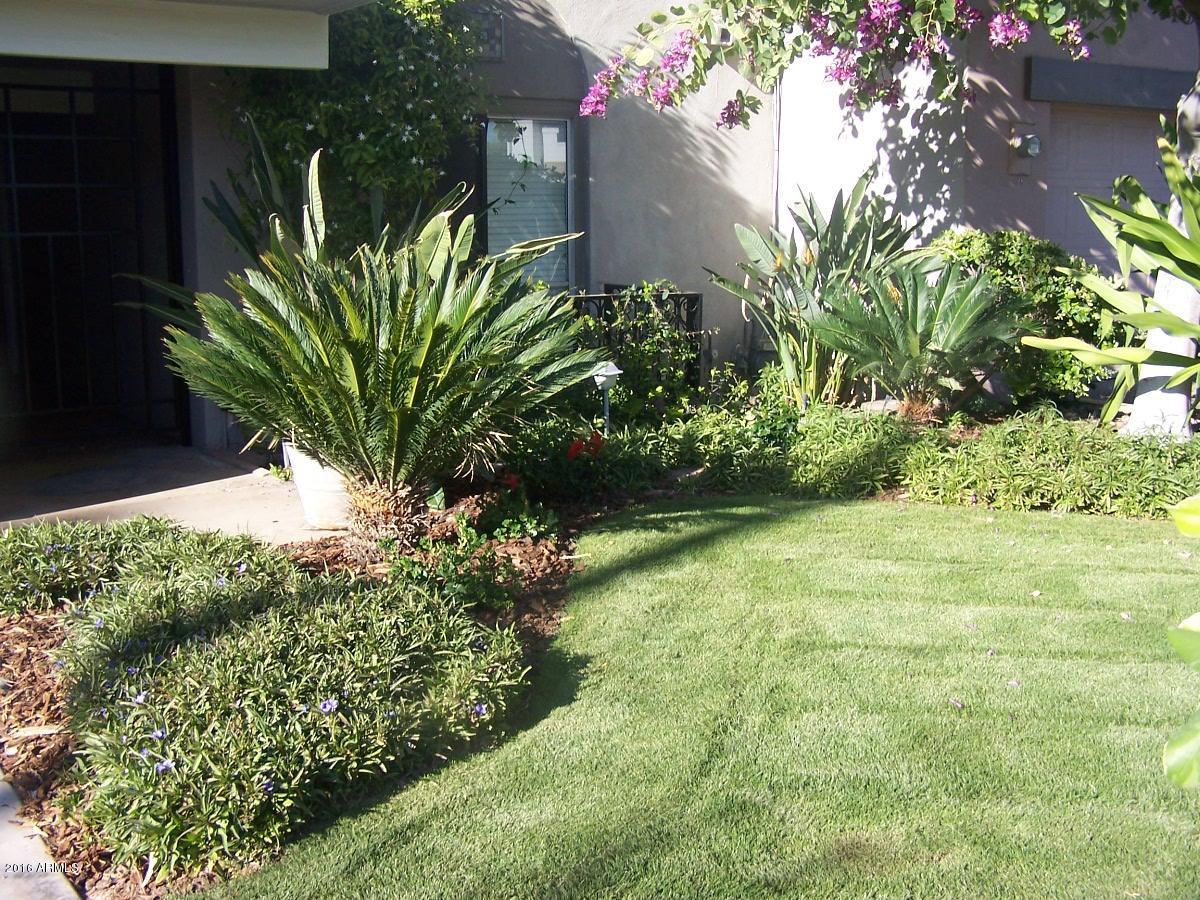 2606 East Osborn Road Phoenix, AZ 85016 - Photo 36 of 39 000_0181