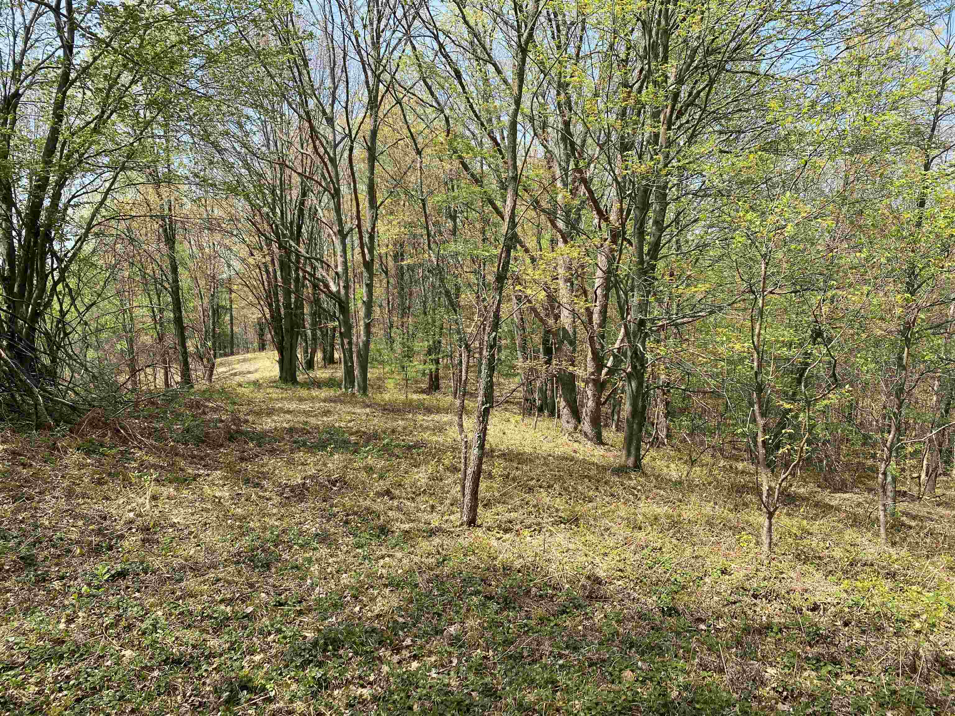 47 South 47 3/4 Road, Unit FOREST DRIVE LOT: 4 Cadillac, MI 49601 - Photo 12 of 14