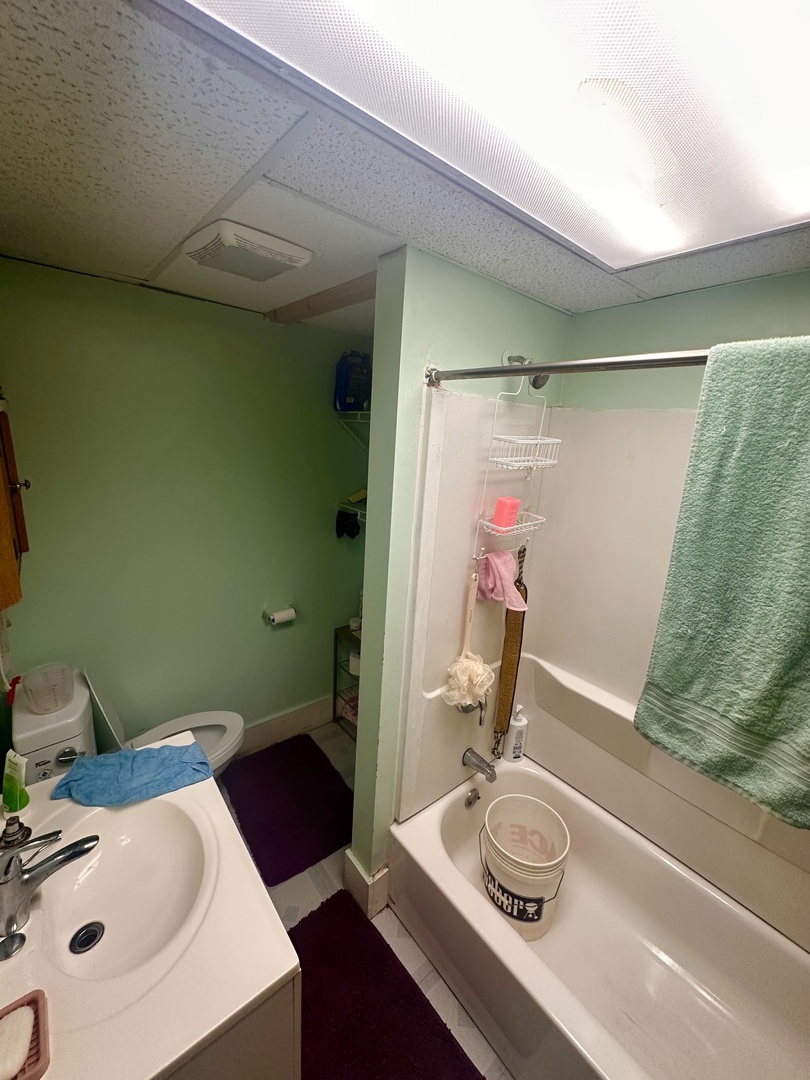 256 West Downer Place Aurora, IL 60506 - Photo 11 of 43