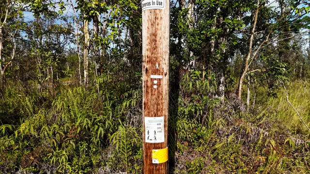 $80,000 | 2 Sugarcane Lane, Pahoa, HI 96778