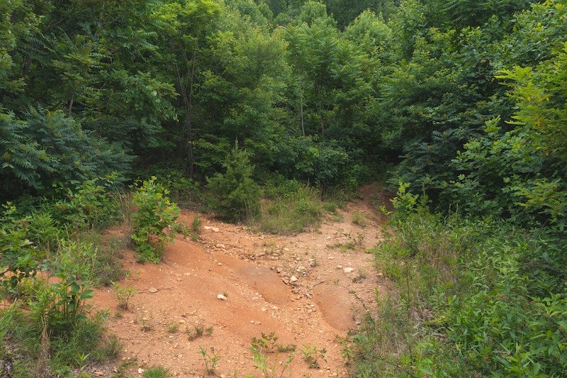 Tbd Belcher Mountain Road Woolwine, VA 24185 - Photo 16 of 25 Gallery Image 16