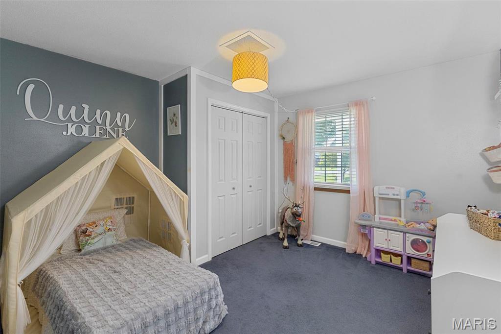 900 Bluffview Drive Dupo, IL 62239 - Photo 23 of 55