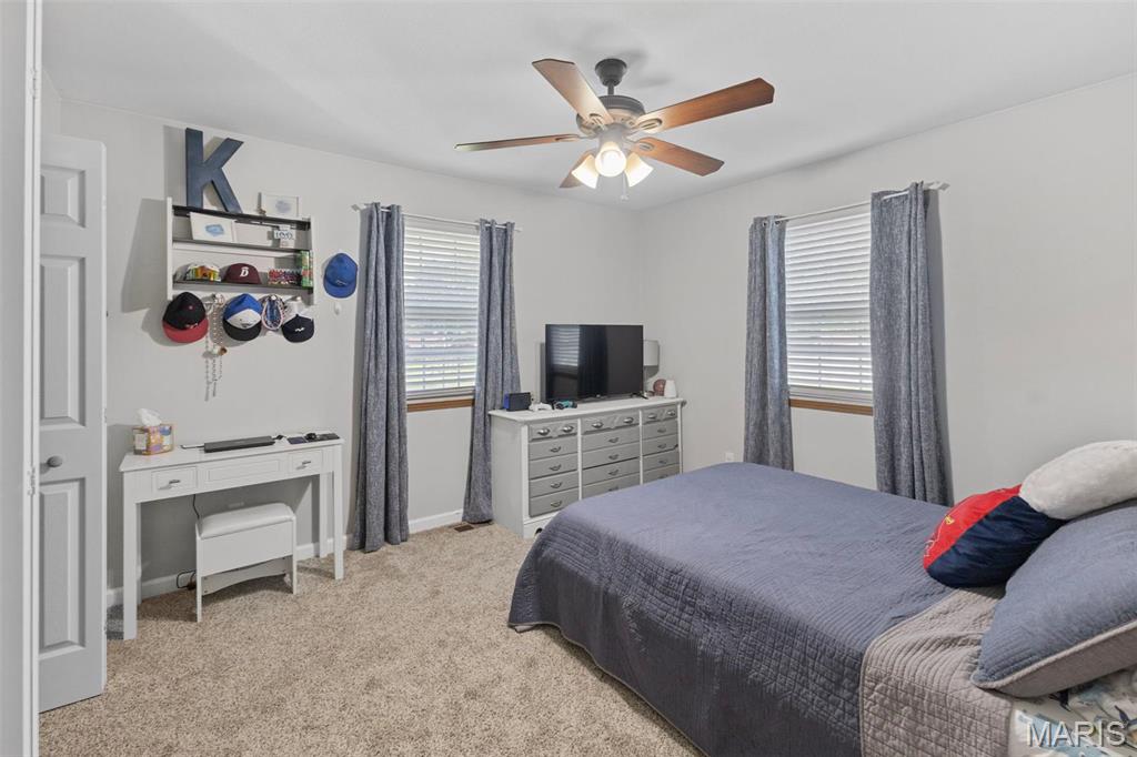 900 Bluffview Drive Dupo, IL 62239 - Photo 24 of 55