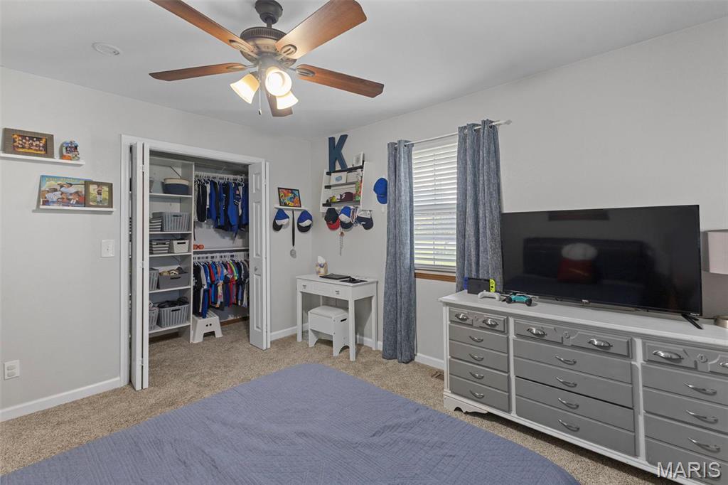 900 Bluffview Drive Dupo, IL 62239 - Photo 26 of 55