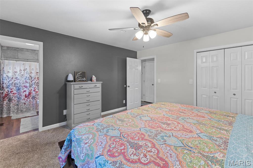 900 Bluffview Drive Dupo, IL 62239 - Photo 28 of 55