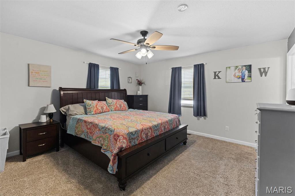 900 Bluffview Drive Dupo, IL 62239 - Photo 29 of 55