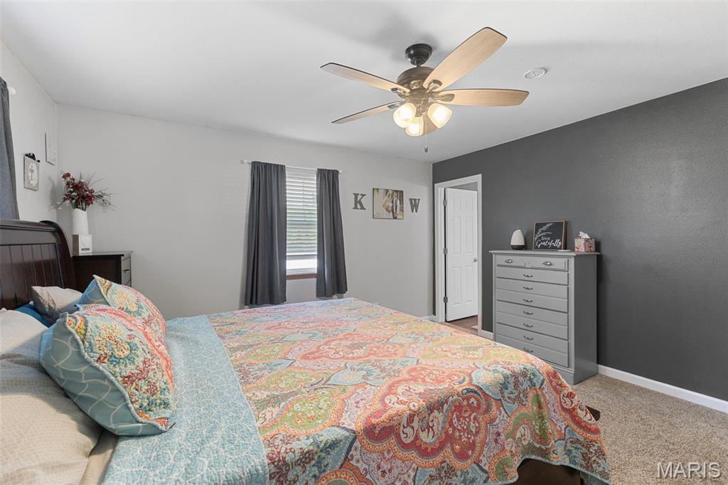 900 Bluffview Drive Dupo, IL 62239 - Photo 30 of 55