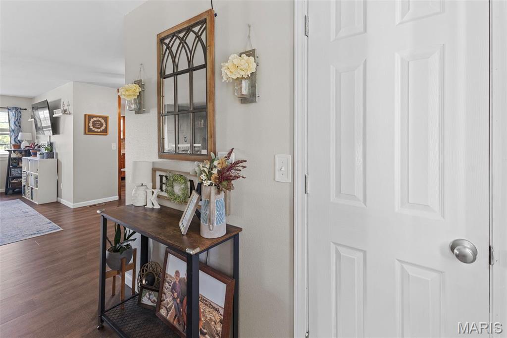 900 Bluffview Drive Dupo, IL 62239 - Photo 10 of 55