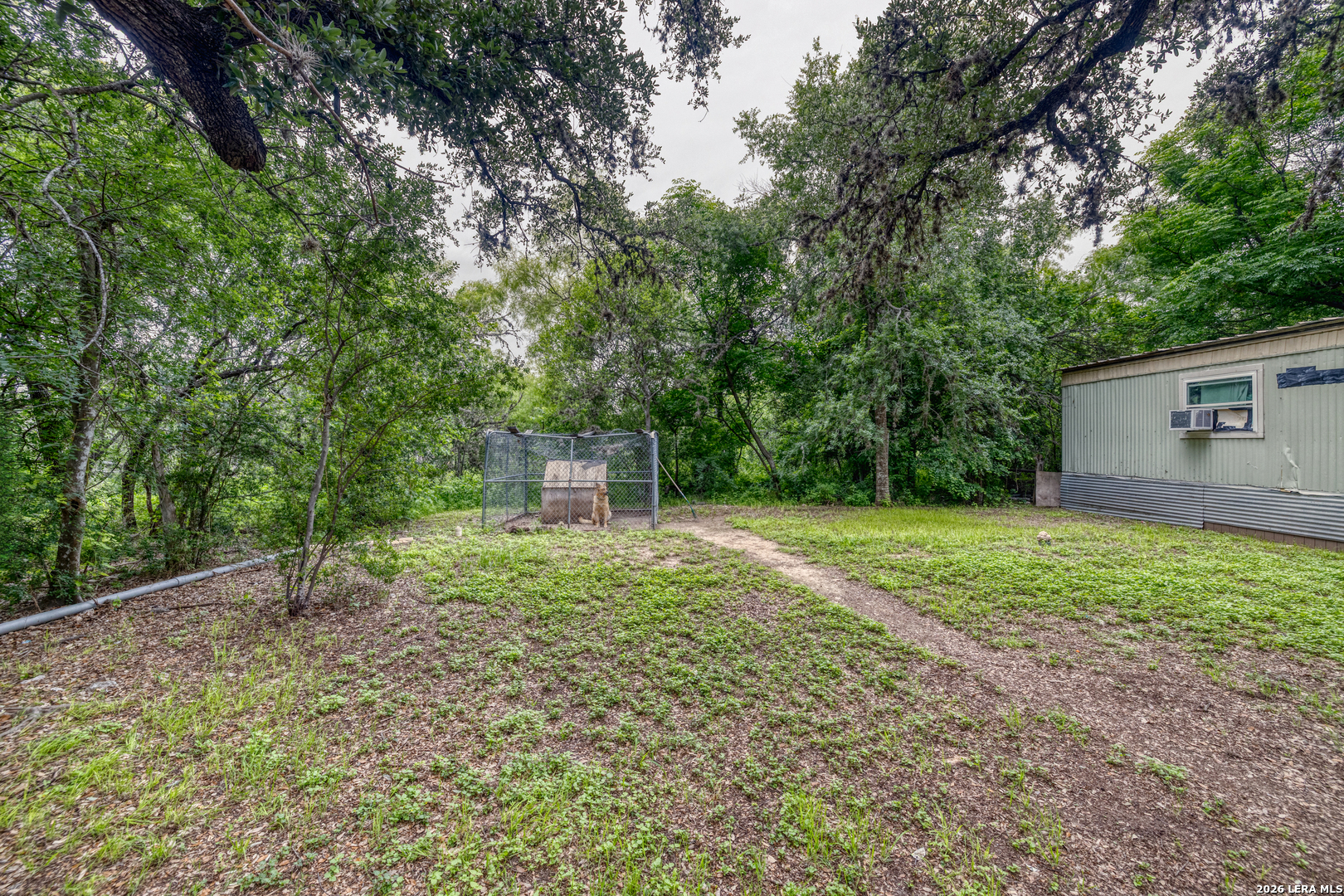 6197 Ranch Road 1120 Rio Frio, TX 78879 - Photo 4 of 25