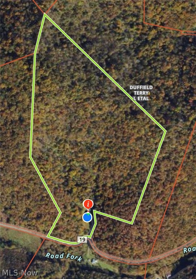 3593 Moore Fork Road Duck, WV 25063 - Photo 48 of 48
