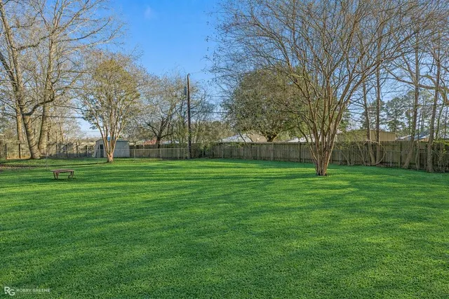 a view of a park with large trees