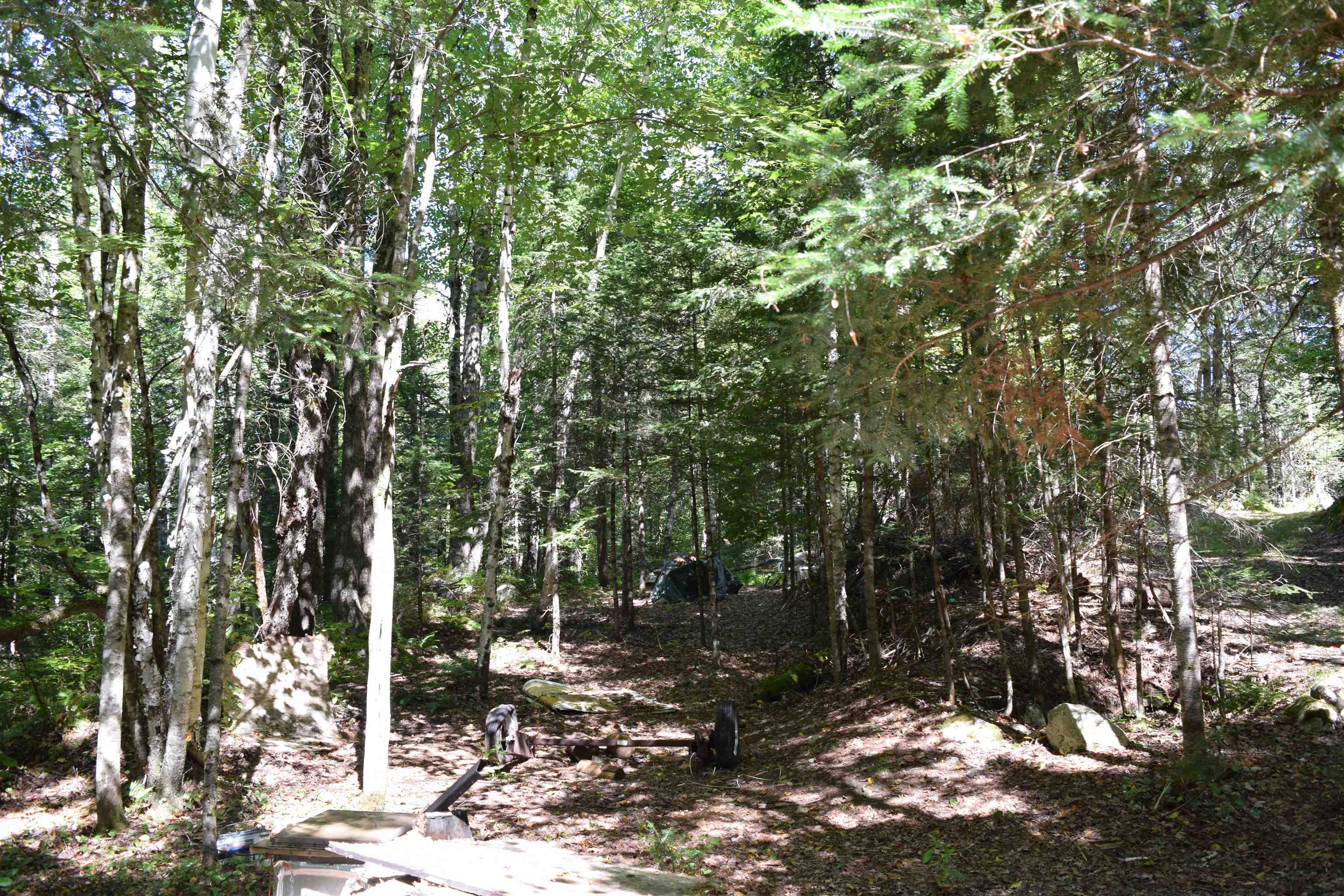 154 Moose Trail Road Bethlehem, NH 03574 - Photo 14 of 42