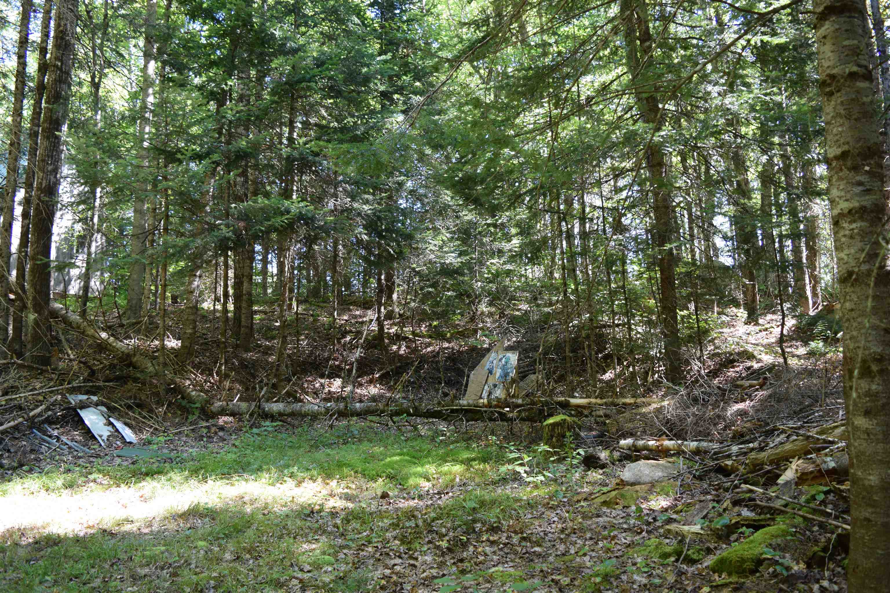 154 Moose Trail Road Bethlehem, NH 03574 - Photo 18 of 42