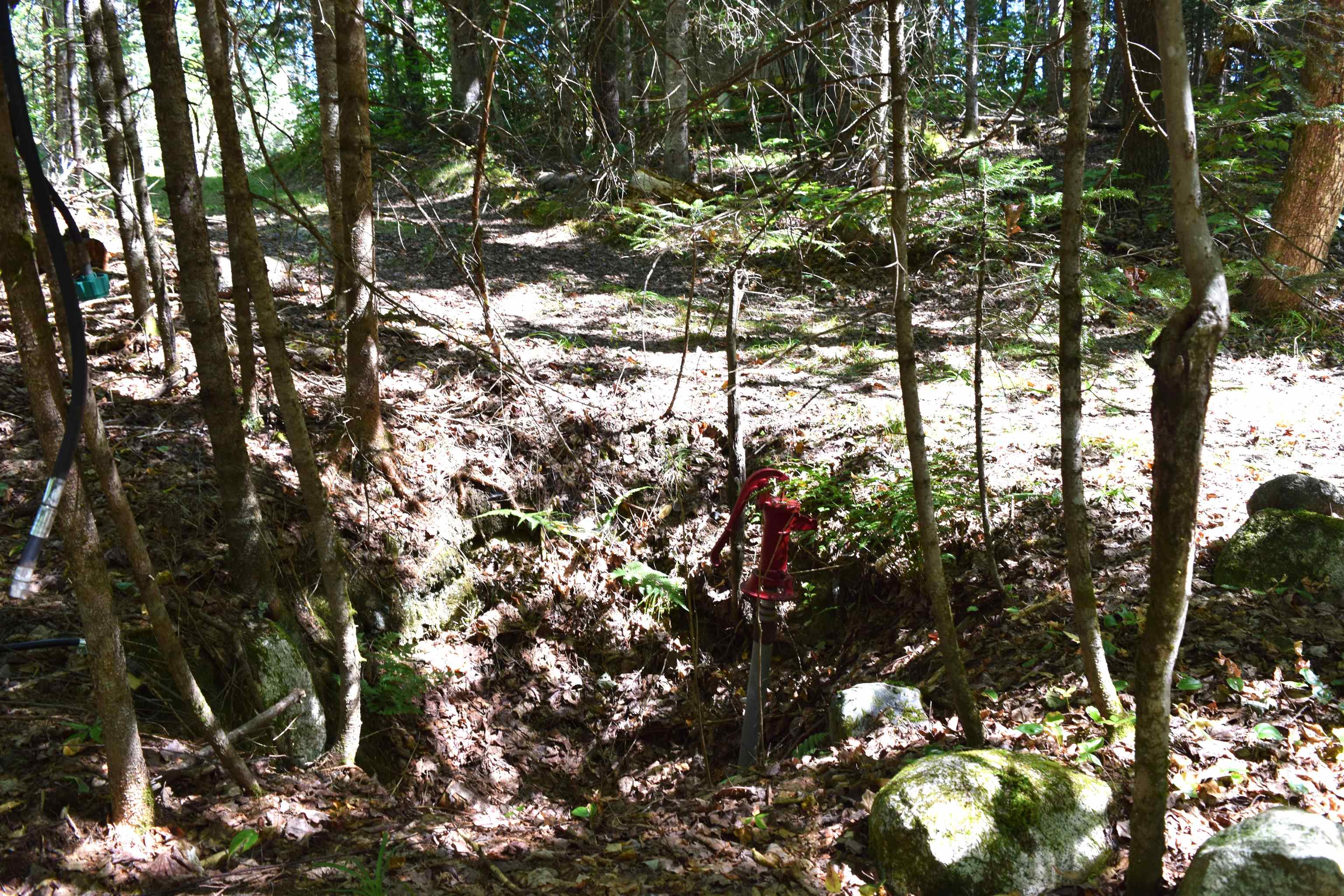 154 Moose Trail Road Bethlehem, NH 03574 - Photo 20 of 42