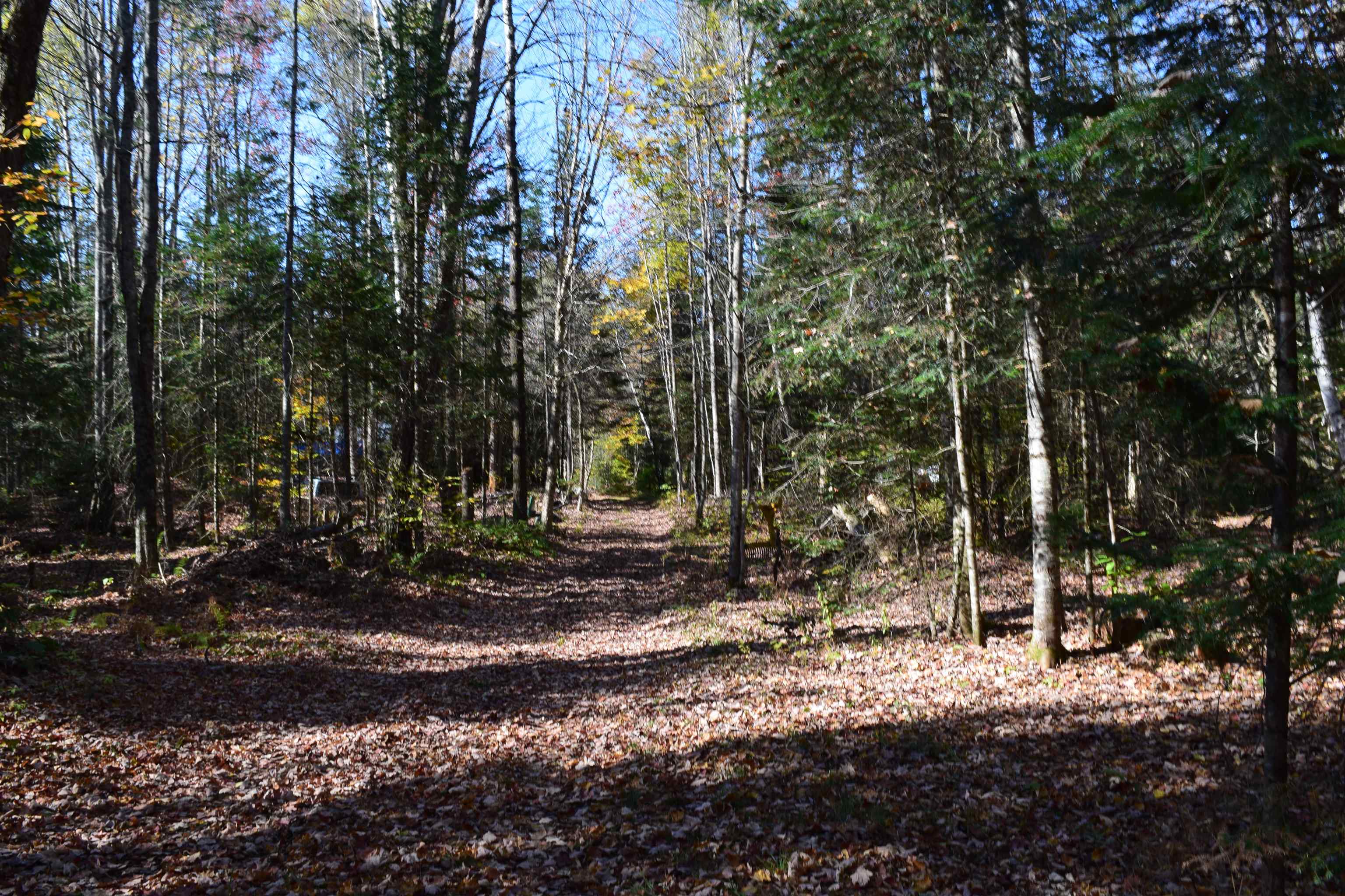 154 Moose Trail Road Bethlehem, NH 03574 - Photo 2 of 42