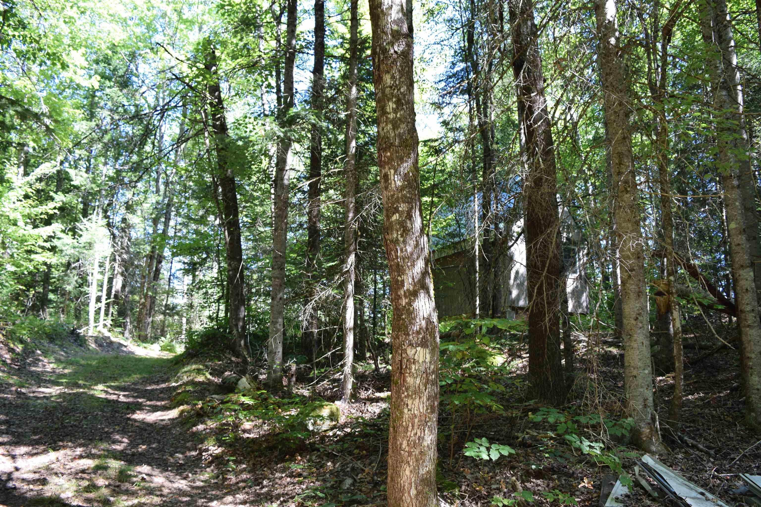 154 Moose Trail Road Bethlehem, NH 03574 - Photo 21 of 42