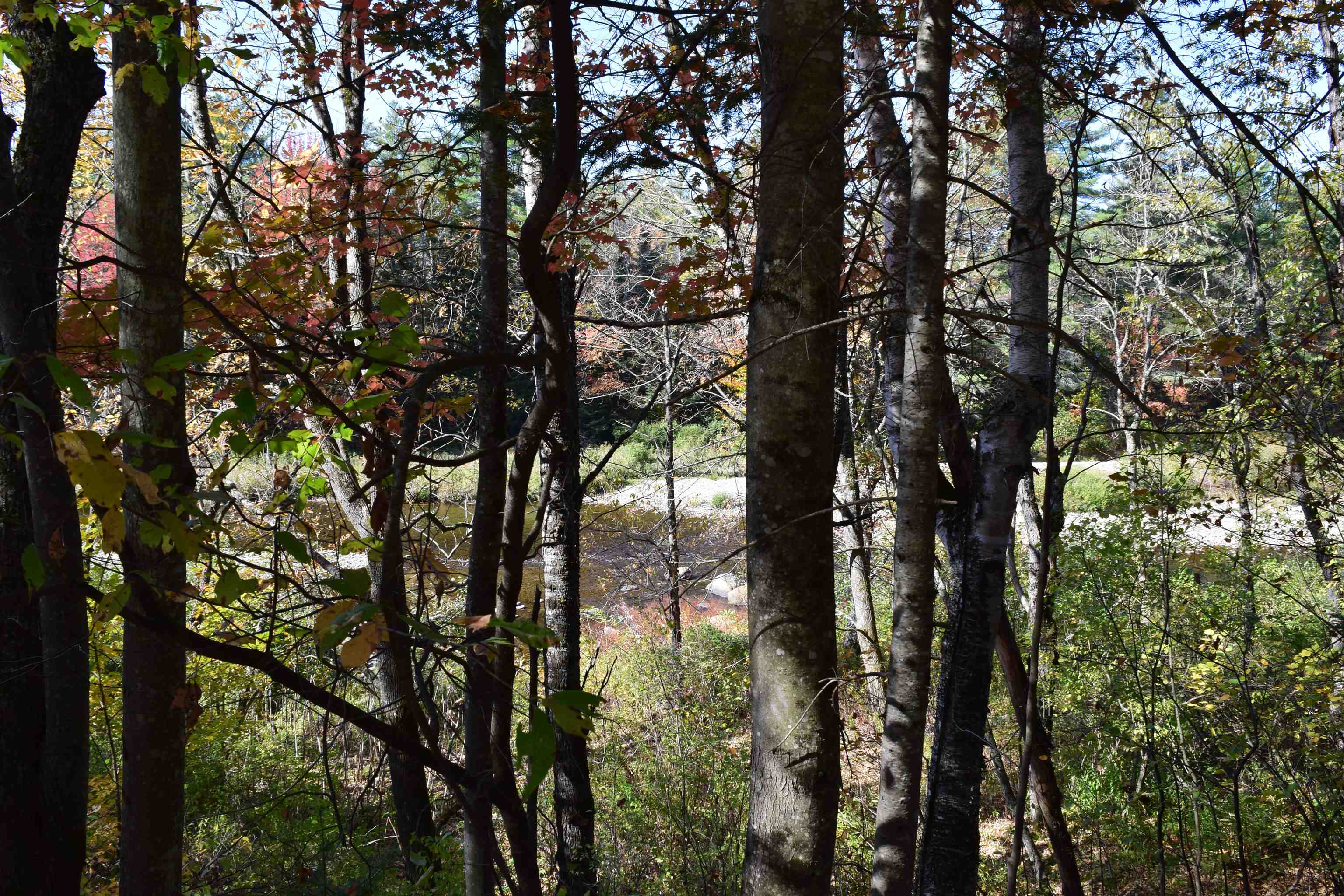 154 Moose Trail Road Bethlehem, NH 03574 - Photo 3 of 42