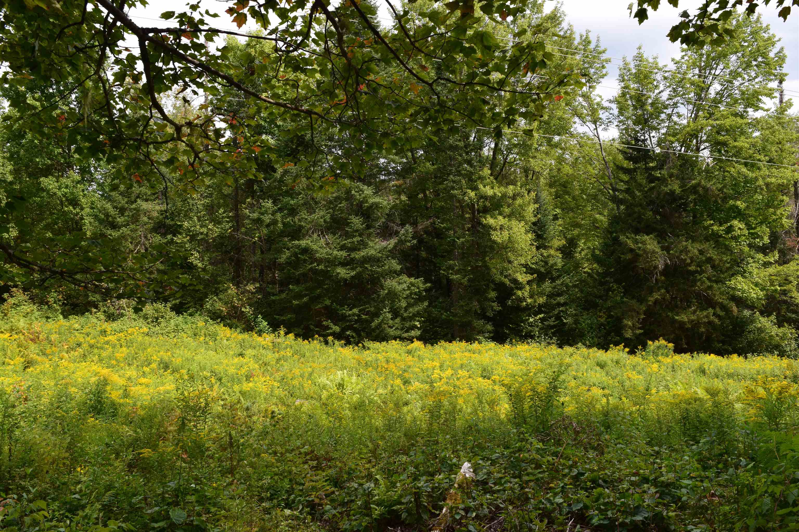 154 Moose Trail Road Bethlehem, NH 03574 - Photo 33 of 42