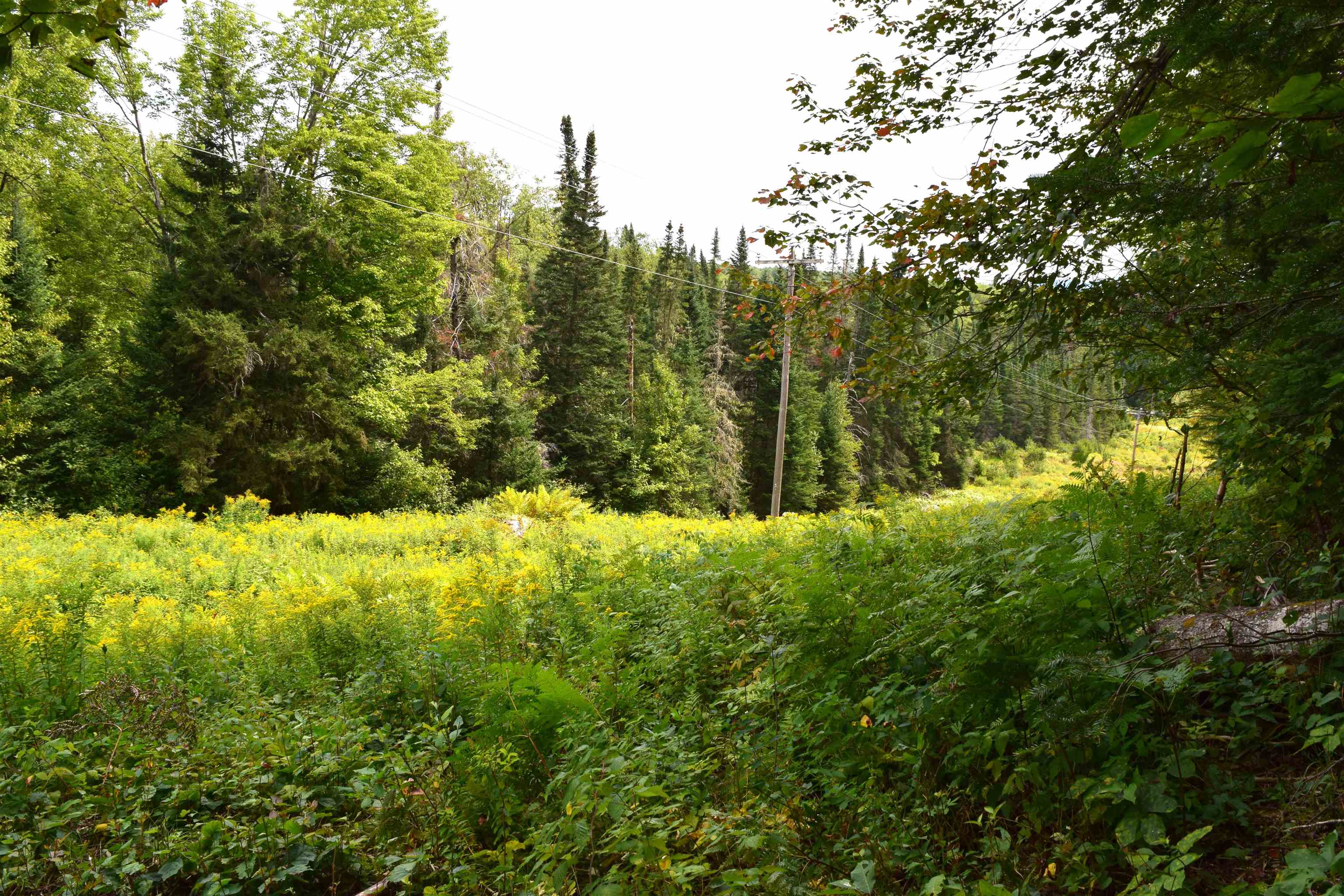 154 Moose Trail Road Bethlehem, NH 03574 - Photo 34 of 42