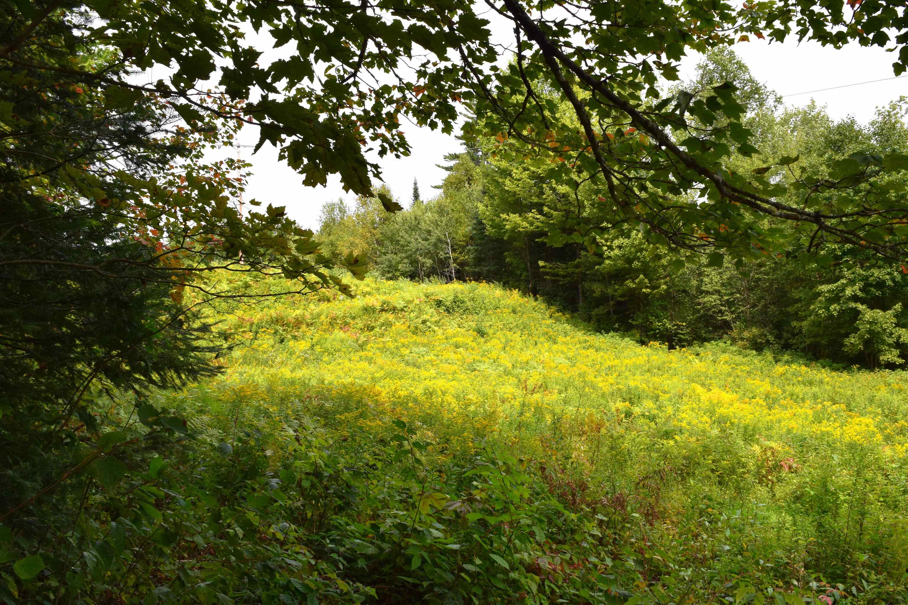 154 Moose Trail Road Bethlehem, NH 03574 - Photo 35 of 42