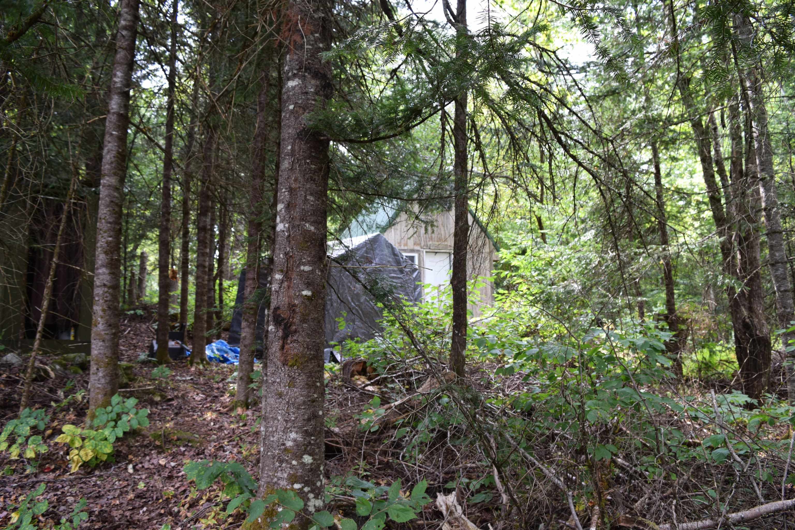 154 Moose Trail Road Bethlehem, NH 03574 - Photo 36 of 42