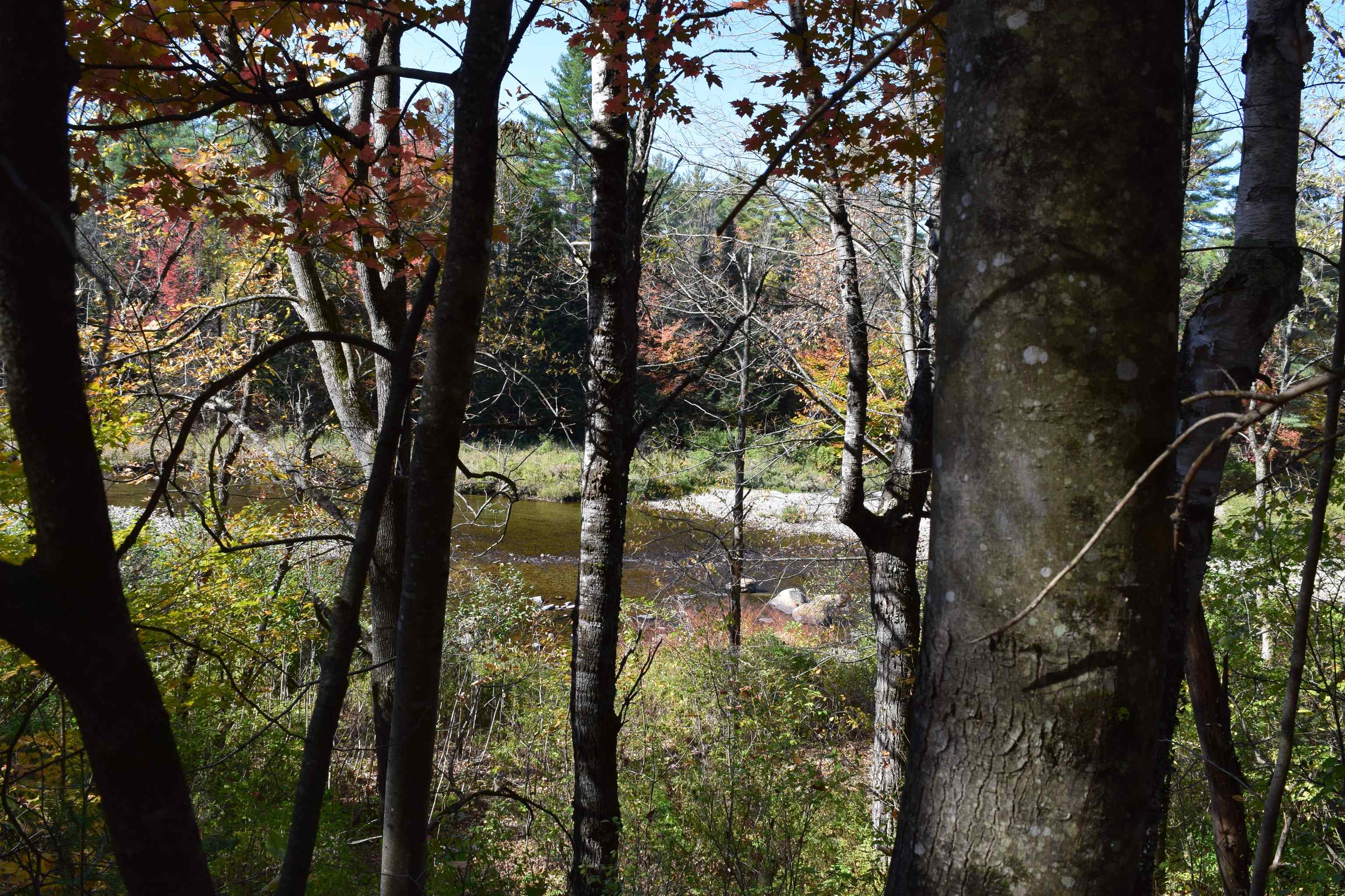 154 Moose Trail Road Bethlehem, NH 03574 - Photo 5 of 42