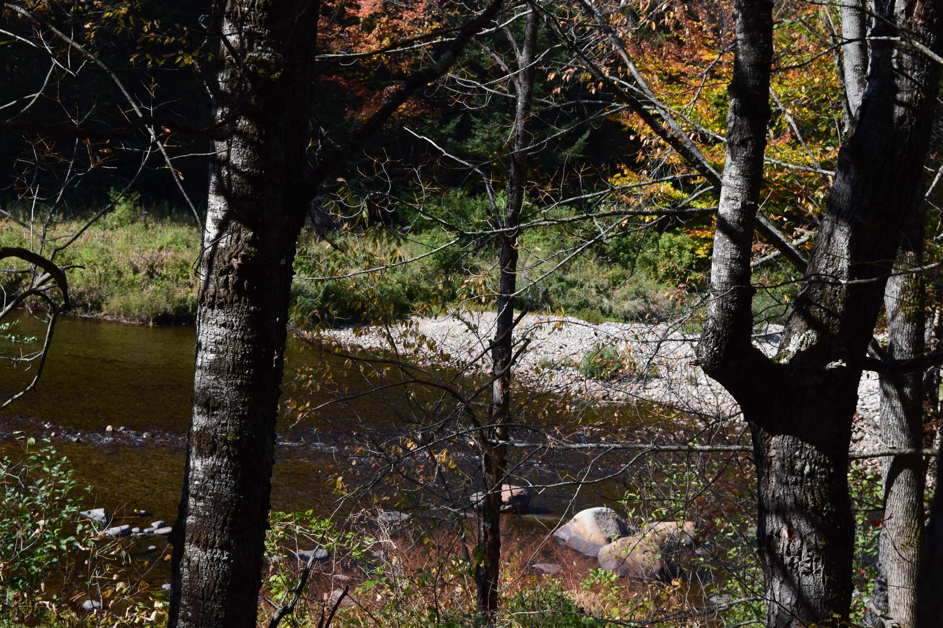 154 Moose Trail Road Bethlehem, NH 03574 - Photo 6 of 42