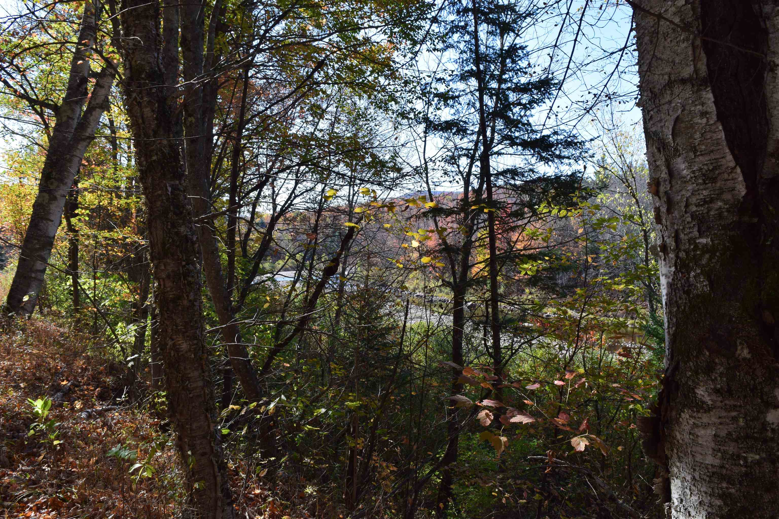 154 Moose Trail Road Bethlehem, NH 03574 - Photo 7 of 42