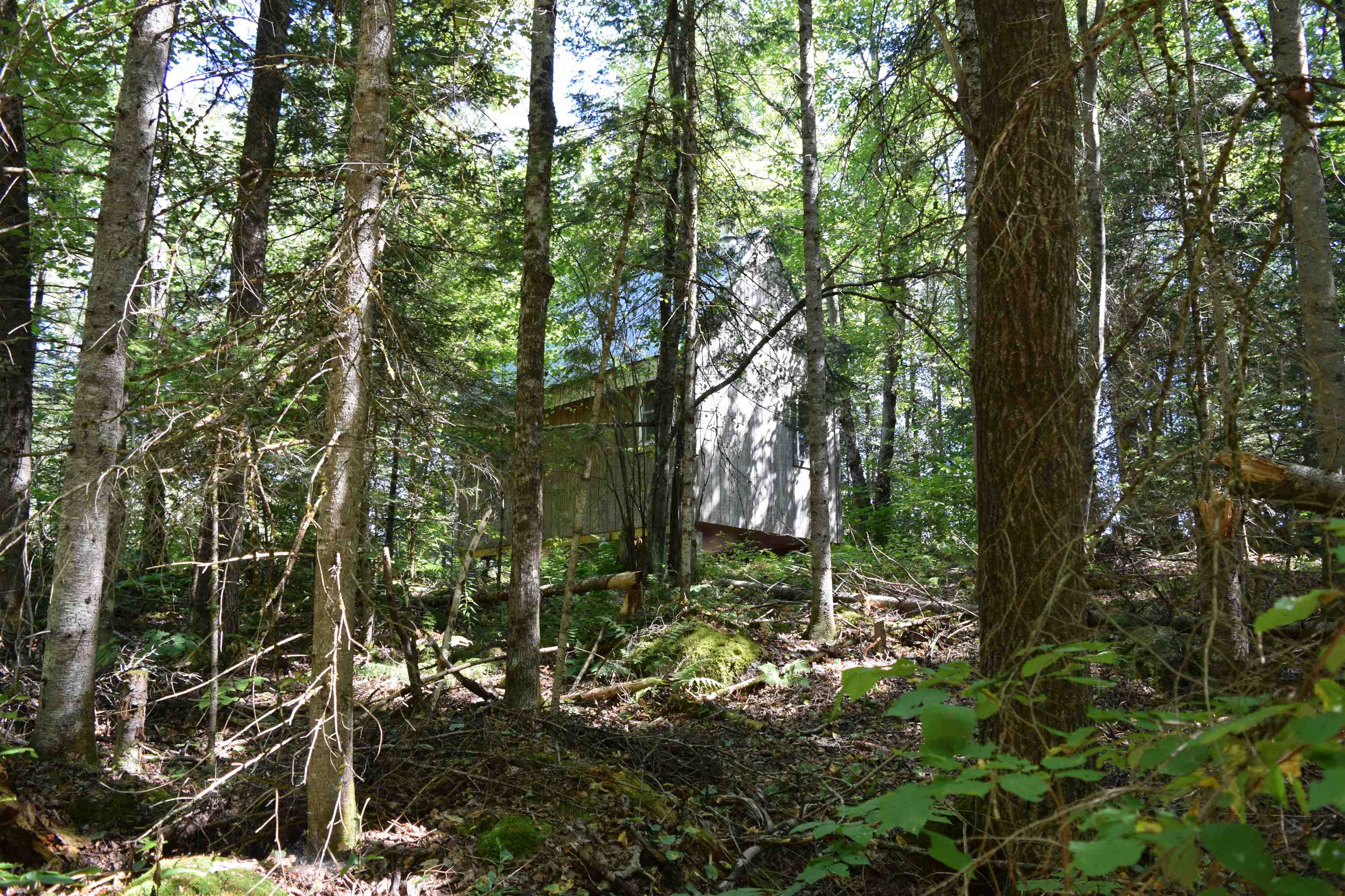 154 Moose Trail Road Bethlehem, NH 03574 - Photo 9 of 42