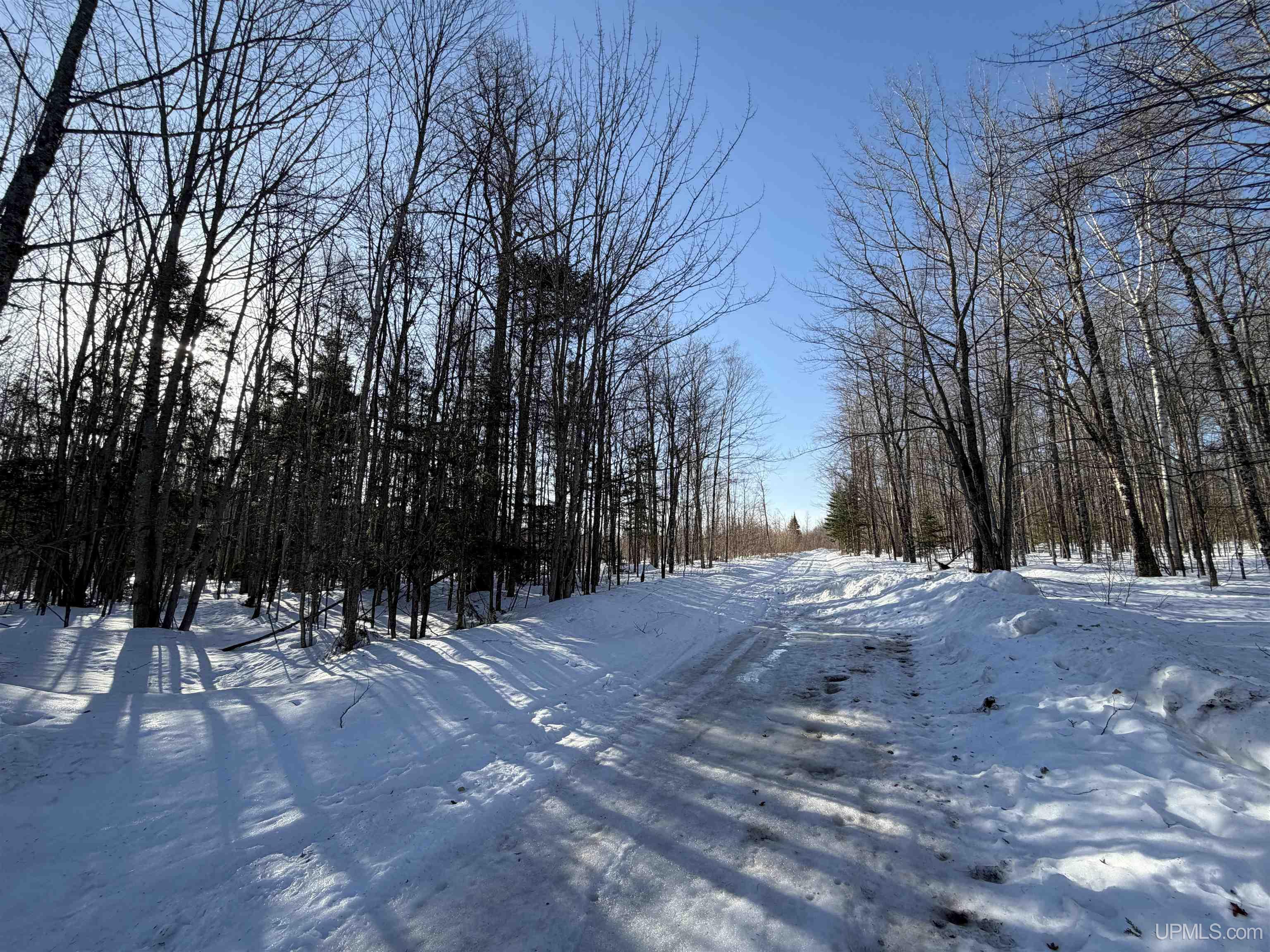 56-acres Halverson Road Skandia, MI 49885 - Photo 10 of 16