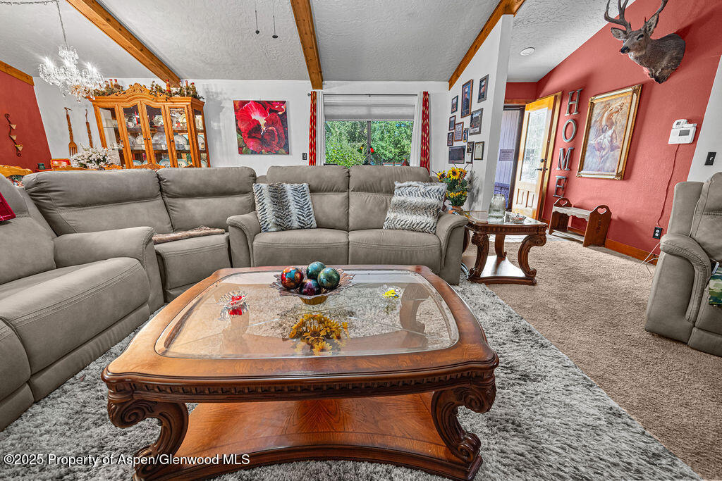 2928 Pinon Circle Craig, CO 81625 - Photo 29 of 92 a living room with furniture flowerpot and a rug