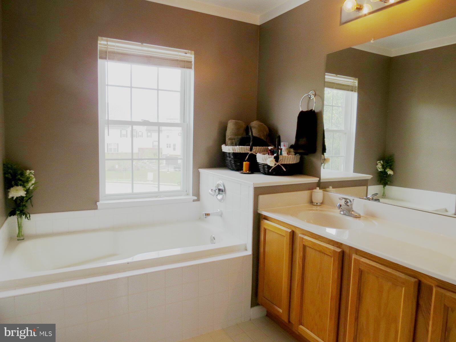 1502 Rambling Way South Frederick, MD 21701 - Photo 15 of 27 Master Bath Soaking Tub
