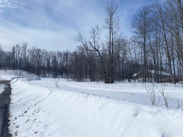 $20,000 | Tbd Lot 28 South Tbd Drive, South Range, MI 49963