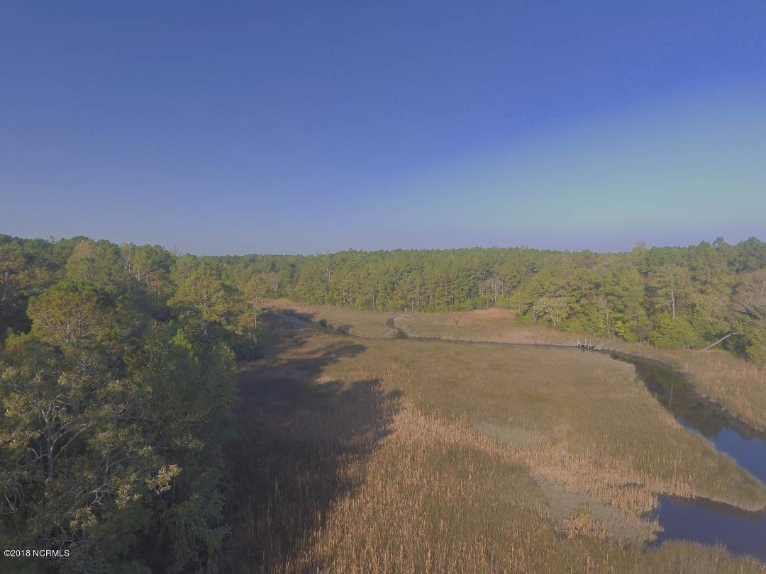 105 Forest Ridge Trail Stella, NC 28582 - Photo 5 of 15 4