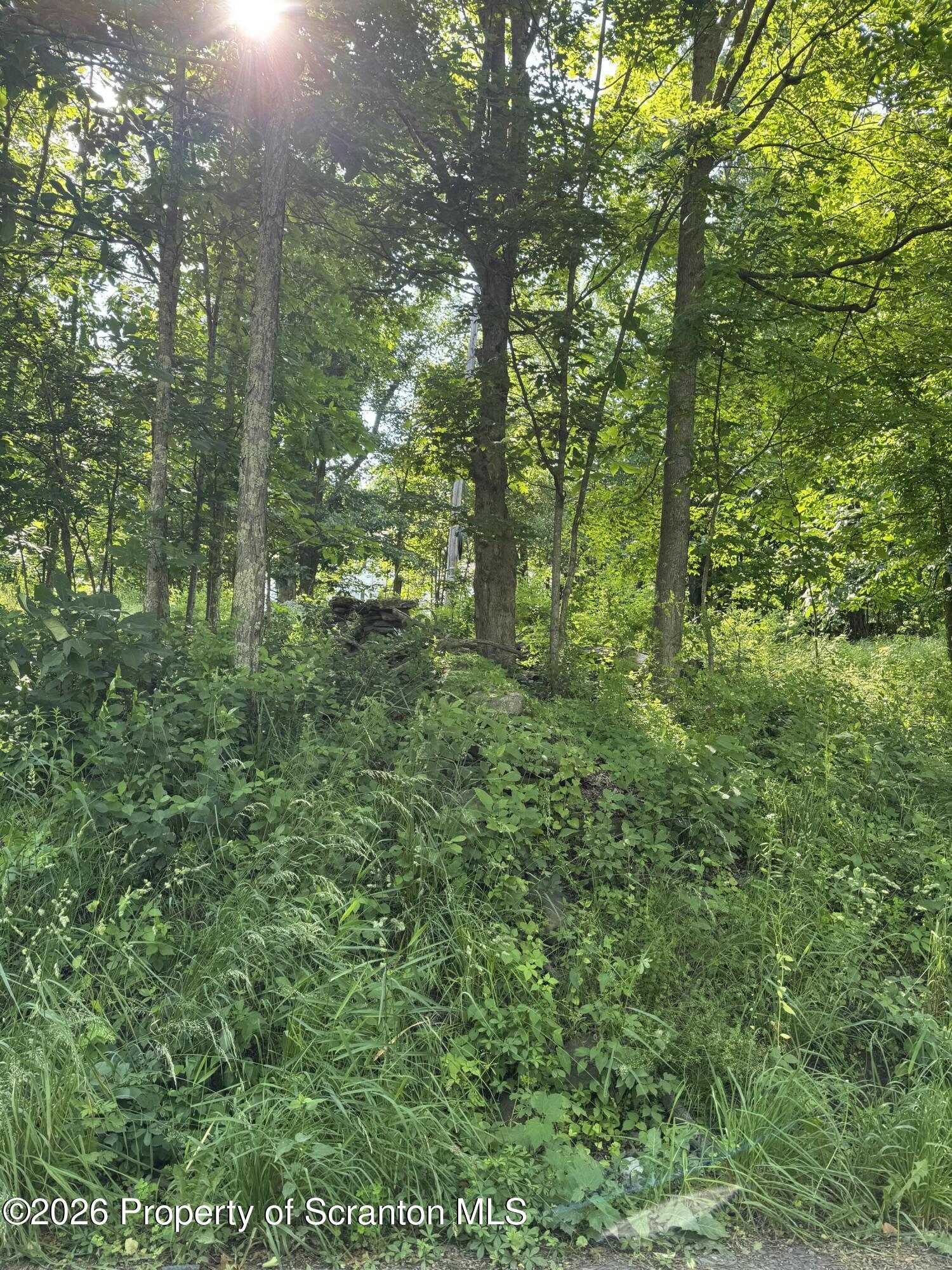 743 Pratt Hollow Road Nicholson, PA 18446 - Photo 68 of 68 Property Line
