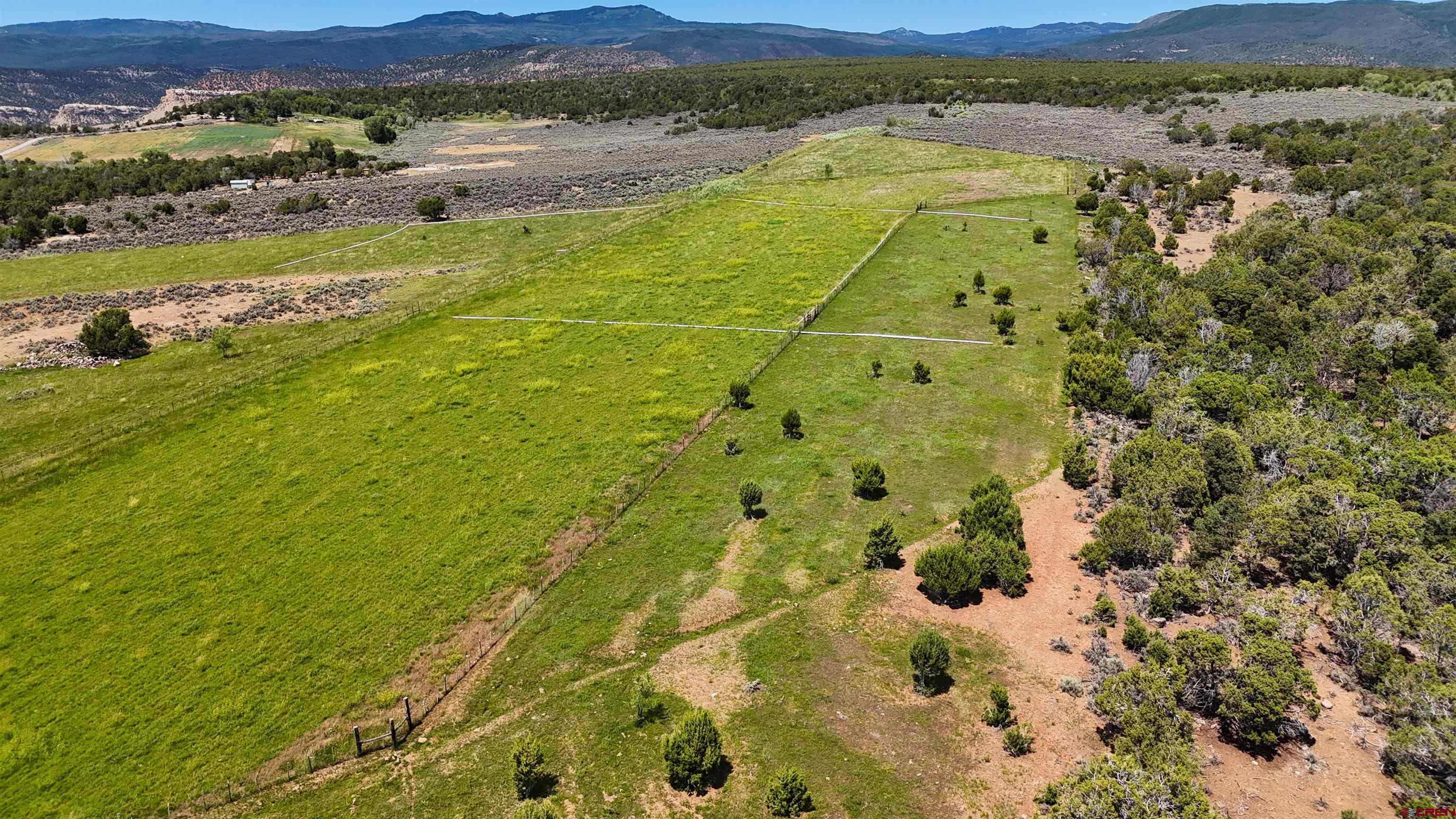 15574 2900th Road Hotchkiss, CO 81419 - Photo 41 of 45