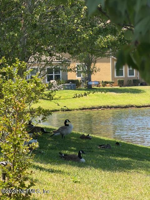 121 Broadbranch Way St. Johns, FL 32259 - Photo 24 of 68 IMG_1047