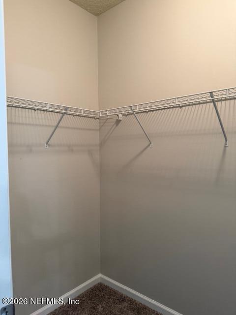121 Broadbranch Way St. Johns, FL 32259 - Photo 39 of 68 Walk-in Closet