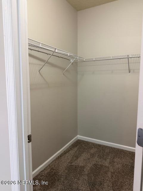 121 Broadbranch Way St. Johns, FL 32259 - Photo 49 of 68 Walk-in Closset