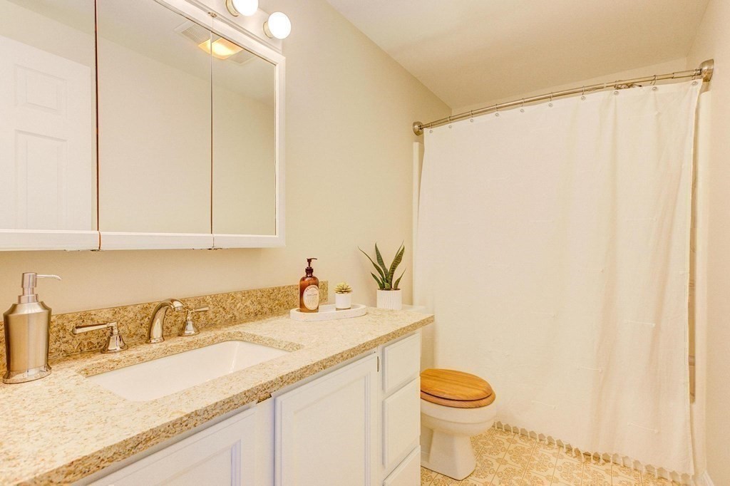 68 Dothan Street Arlington, MA 02474 - Photo 17 of 42 a bathroom with a granite countertop sink and a toilet