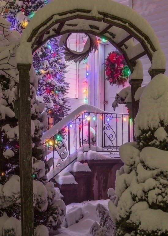 68 Dothan Street Arlington, MA 02474 - Photo 23 of 42 a front view of a house with entryway