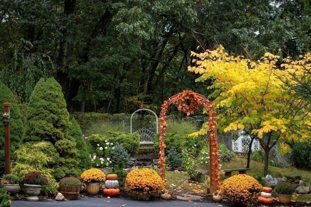 68 Dothan Street Arlington, MA 02474 - Photo 27 of 42 a view of a tree with a yard