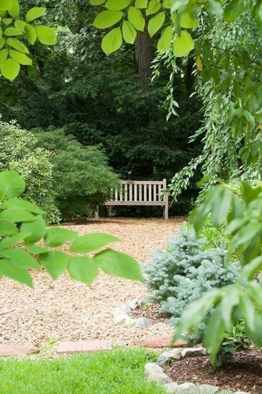 68 Dothan Street Arlington, MA 02474 - Photo 31 of 42 a view of a yard with plants and large trees