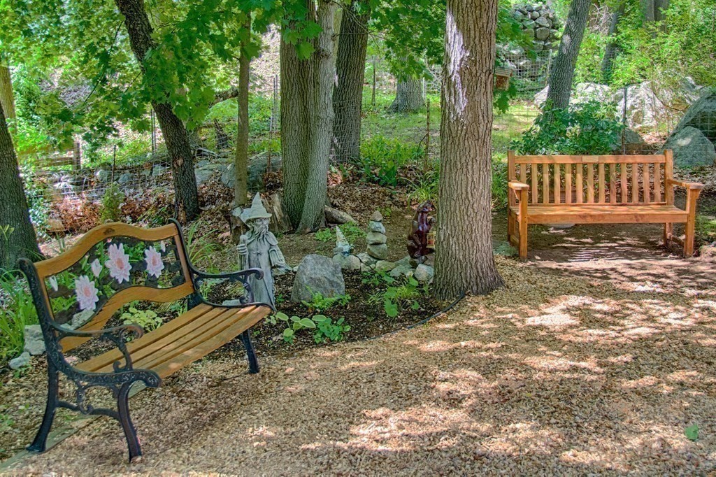 68 Dothan Street Arlington, MA 02474 - Photo 32 of 42 a wooden bench sitting in the middle of a forest