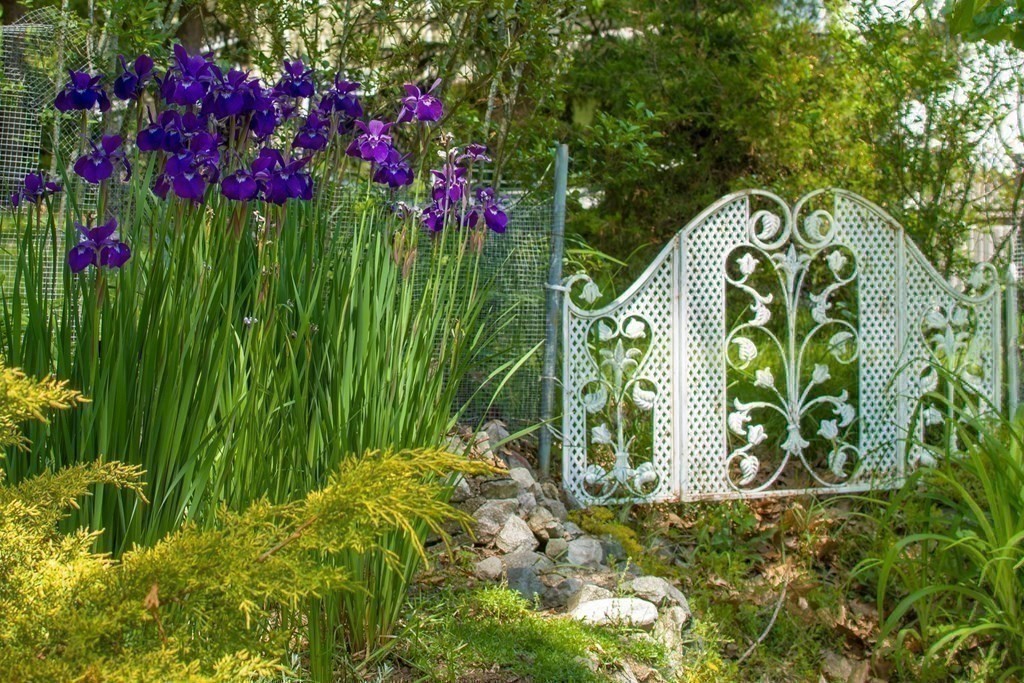 68 Dothan Street Arlington, MA 02474 - Photo 34 of 42 a view of a bunch of flowers