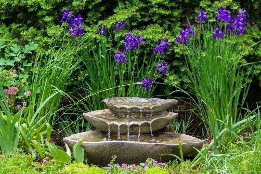 68 Dothan Street Arlington, MA 02474 - Photo 39 of 42 a backyard of a house with lots of green space and plants