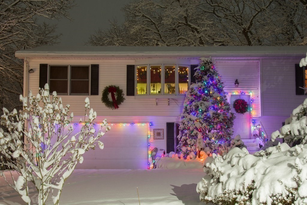 68 Dothan Street Arlington, MA 02474 - Photo 41 of 42 a front view of a house with plants