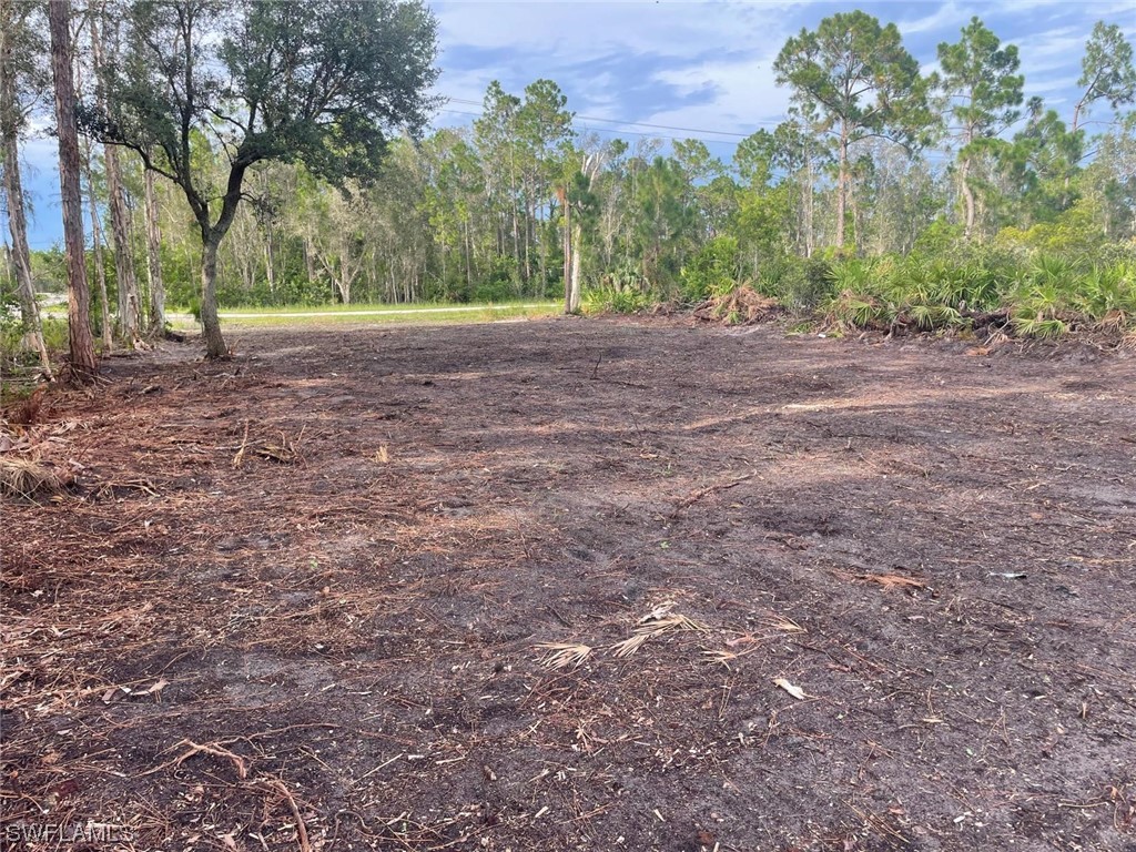 2712 Meadow Road Lehigh Acres, FL 33913 - Photo 1 of 6 a view of dirt yard with a large tree